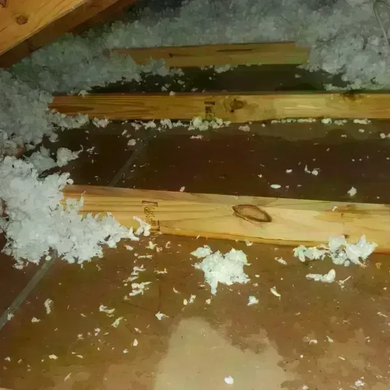 Attic Water Damage in Hughes County, SD