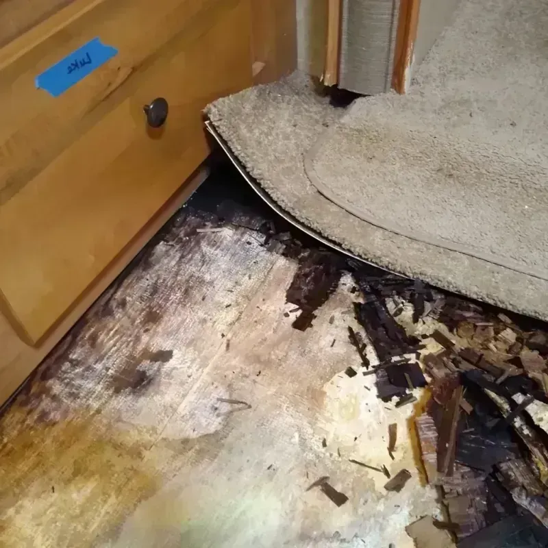 Wood Floor Water Damage in Hughes County, SD